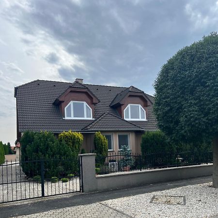 Apartament Holler Vendeghaz Bük Zewnętrze zdjęcie